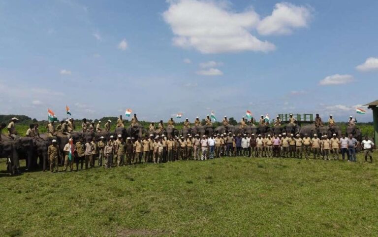 WORLD ELEPHANT DAY celebrated at Manas Tiger Reserve