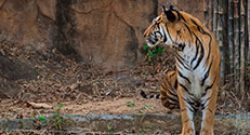 Untitled-14-pes9j4wyvzwt526pcodcpazlpt7tnc7r1ez1r39fwm